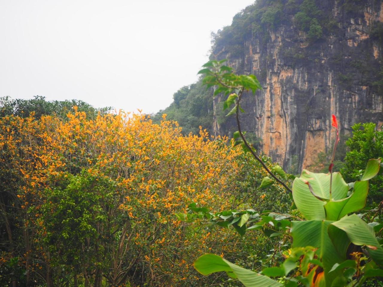 Yangshuo Moon Resort Hotel 구이린 시 외부 사진